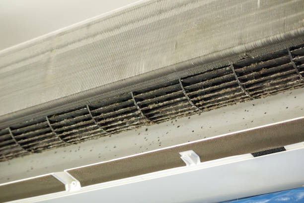 Best Commercial HVAC Duct Cleaning  in Wellsville, OH